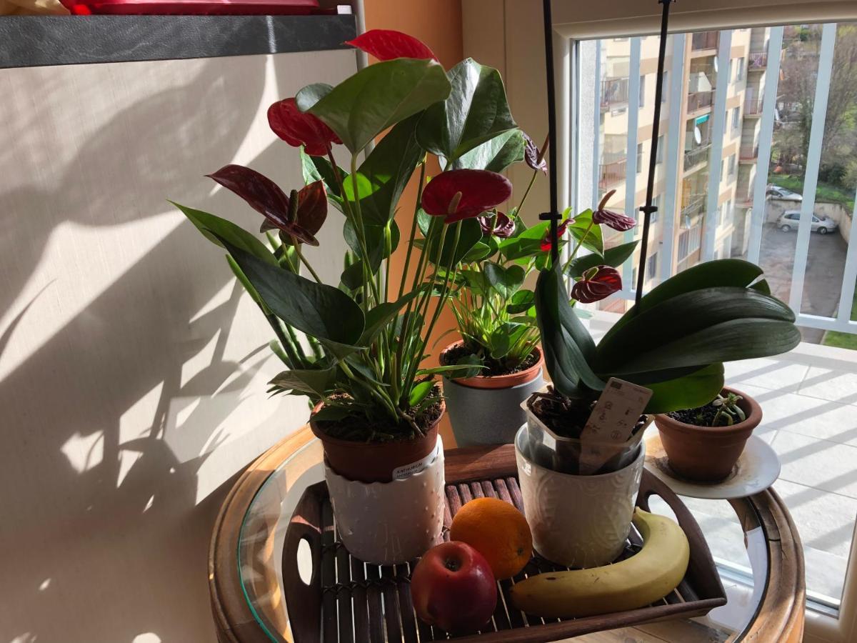 Apartament Attico Chez Renee Aosta Zewnętrze zdjęcie